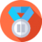 SEO PLATINUM